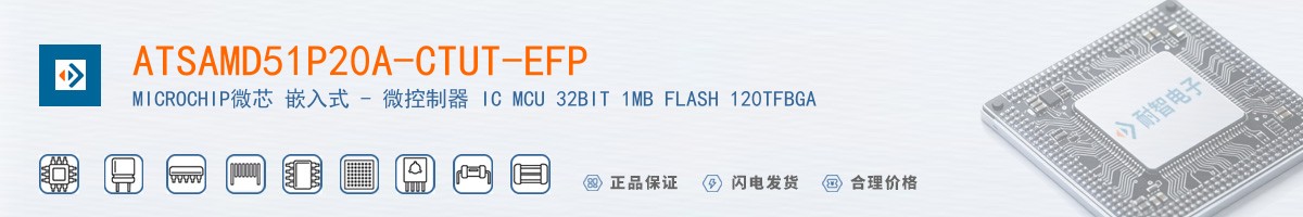 ATSAMD51P20A-CTUT-EFP������