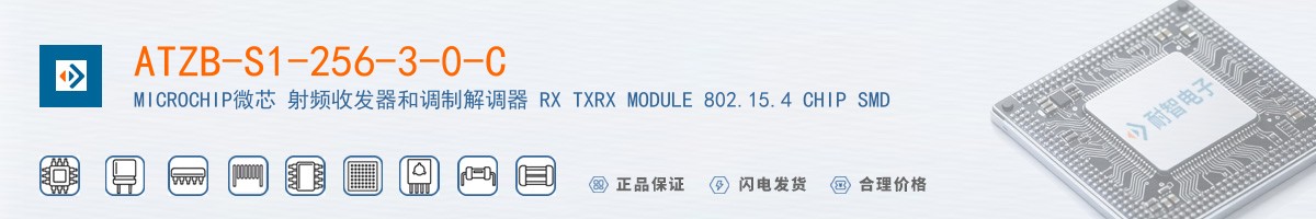 ATZB-S1-256-3-0-C������