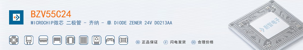 BZV55C24������