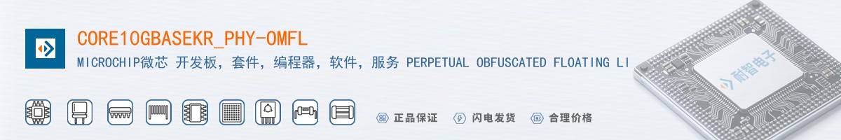 CORE10GBASEKR_PHY-OMFL������