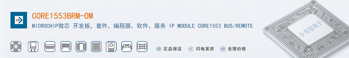 CORE1553BRM-OM������