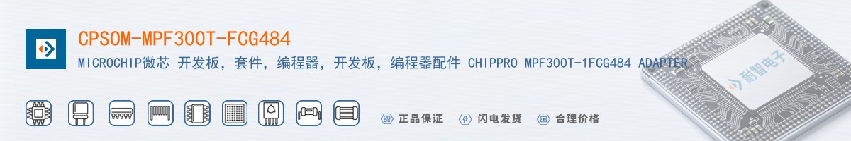 CPSOM-MPF300T-FCG484������