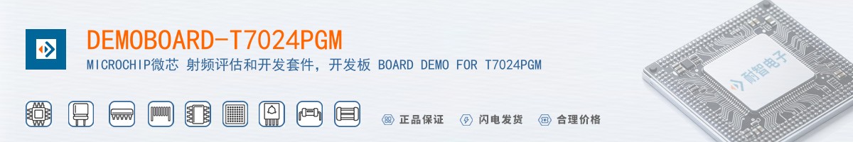 DEMOBOARD-T7024PGM������