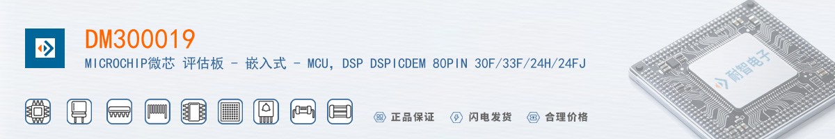 DM300019������