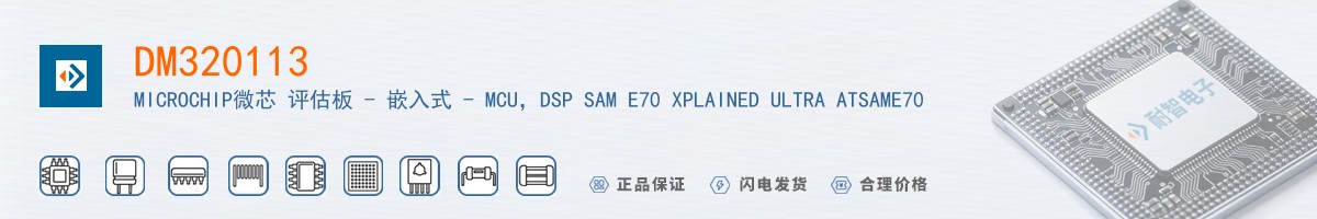 DM320113������