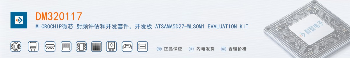 DM320117������