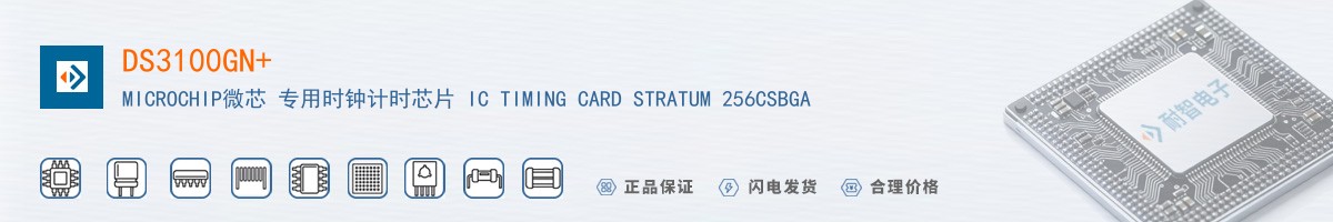 DS3100GN+������