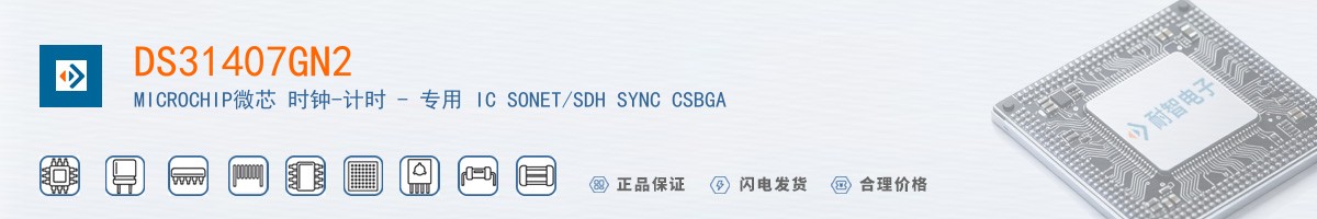 DS31407GN2������