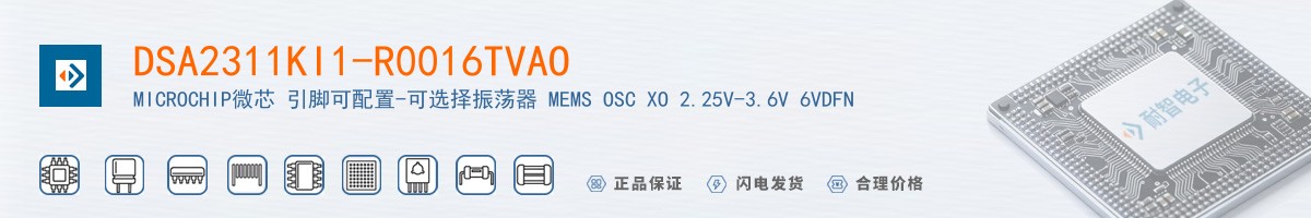 DSA2311KI1-R0016TVAO������