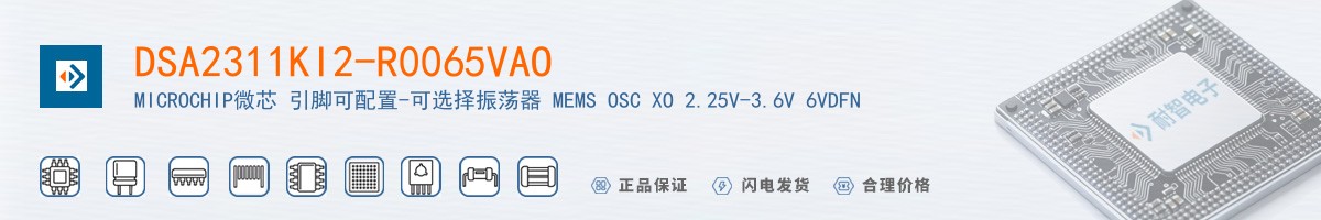 DSA2311KI2-R0065VAO������