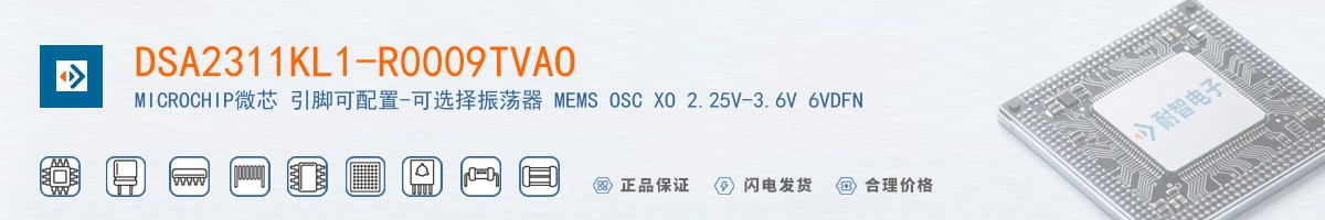 DSA2311KL1-R0009TVAO������