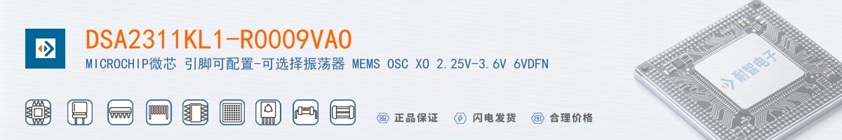 DSA2311KL1-R0009VAO������