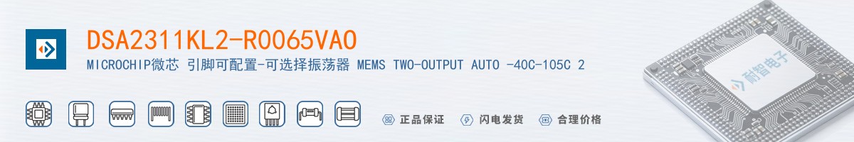 DSA2311KL2-R0065VAO������