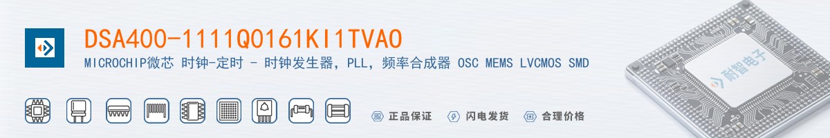 DSA400-1111Q0161KI1TVAO������