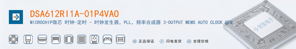 DSA612RI1A-01P4VAO������