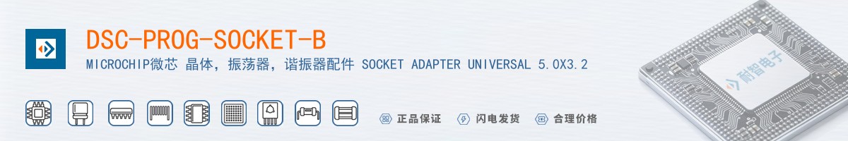DSC-PROG-SOCKET-B������