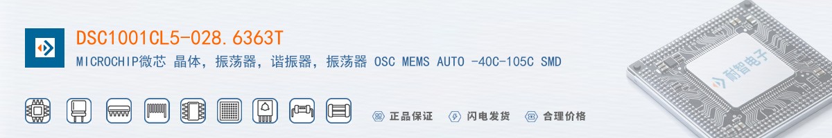 DSC1001CL5-028.6363T������