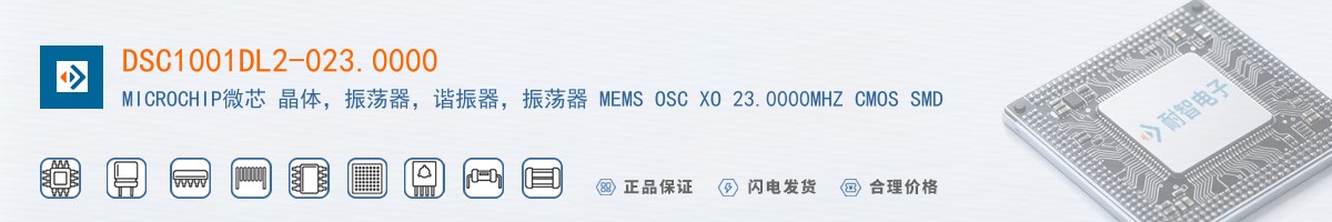 DSC1001DL2-023.0000������