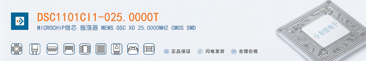 DSC1101CI1-025.0000T������