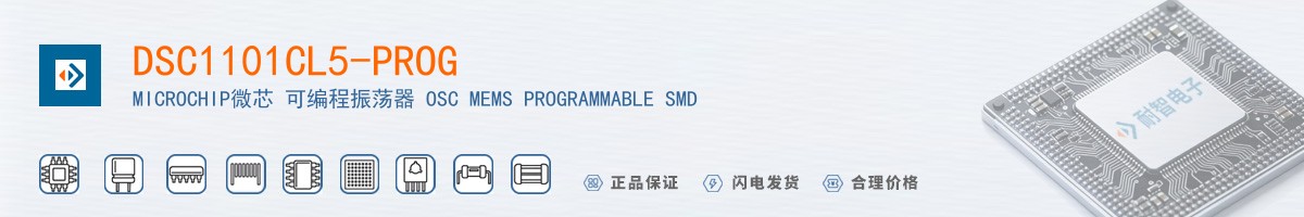 DSC1101CL5-PROG������