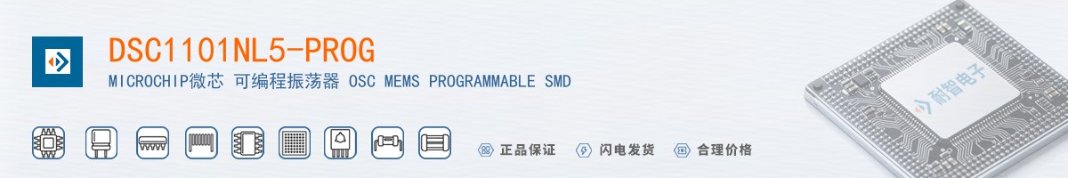 DSC1101NL5-PROG������