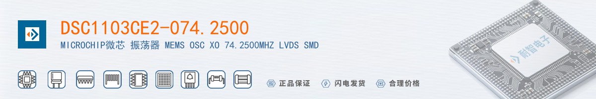 DSC1103CE2-074.2500������