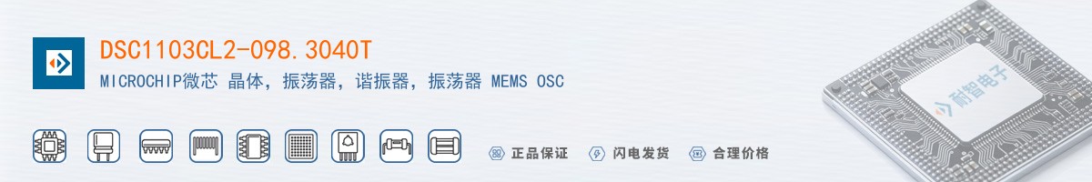 DSC1103CL2-098.3040T������