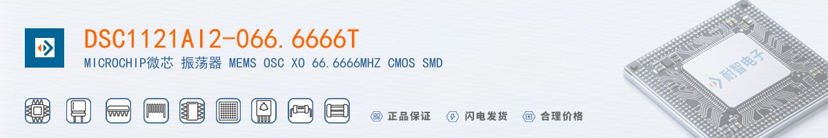 DSC1121AI2-066.6666T������