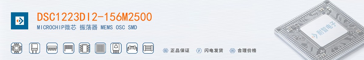 DSC1223DI2-156M2500������