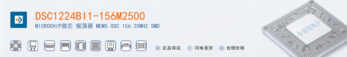 DSC1224BI1-156M2500������