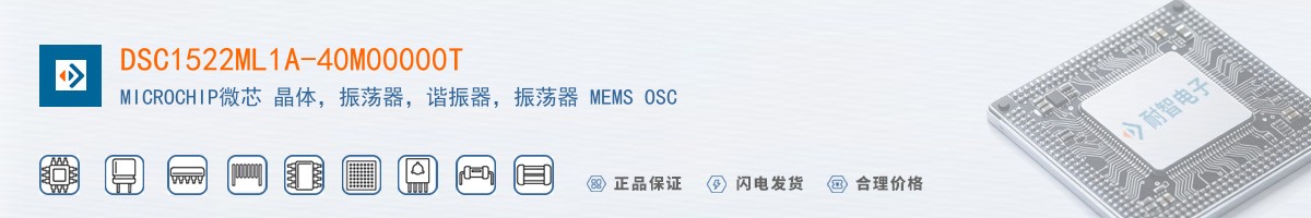 DSC1522ML1A-40M00000T������