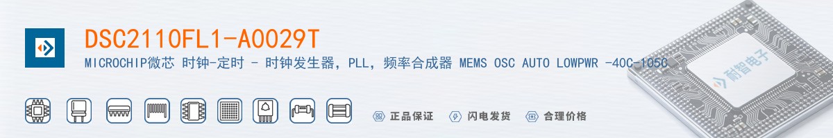 DSC2110FL1-A0029T������