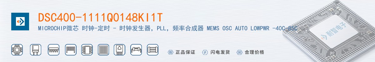 DSC400-1111Q0148KI1T������