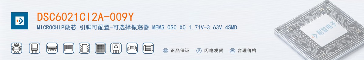 DSC6021CI2A-009Y������