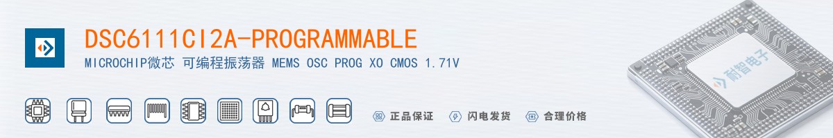 DSC6111CI2A-PROGRAMMABLE������