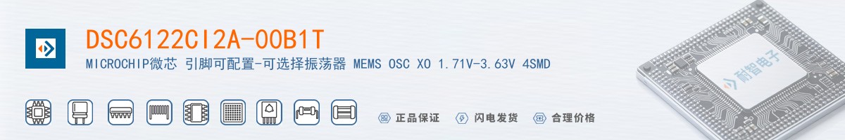 DSC6122CI2A-00B1T������