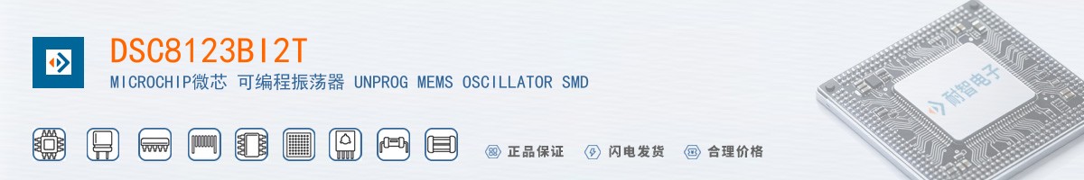 DSC8123BI2T������