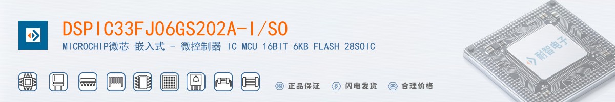 DSPIC33FJ06GS202A-I/SO������
