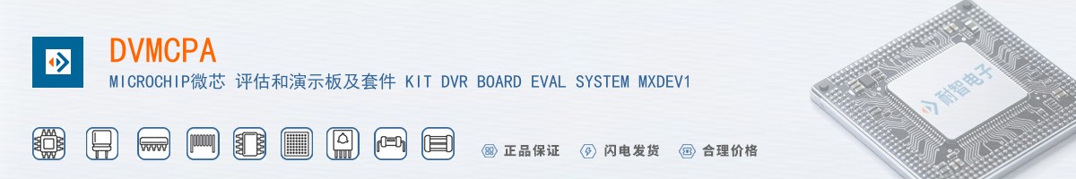 DVMCPA������