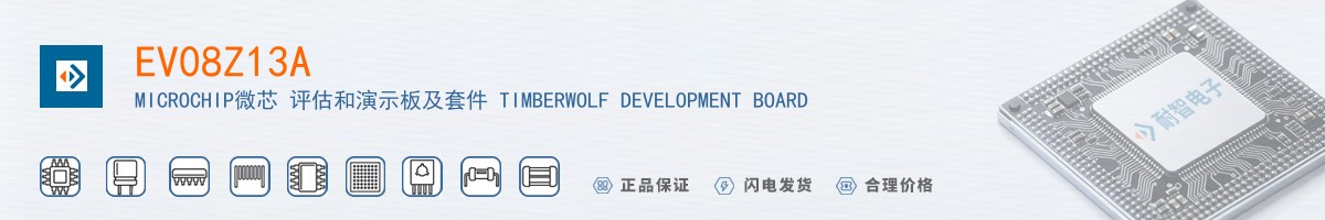 EV08Z13A������