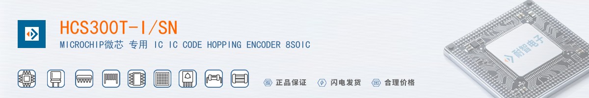 HCS300T-I/SN������