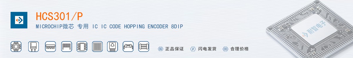 HCS301/P������