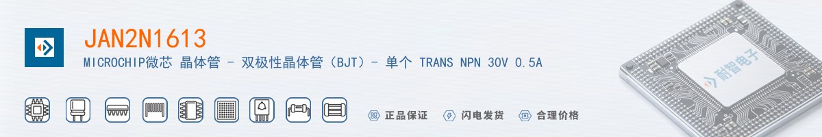 JAN2N1613������