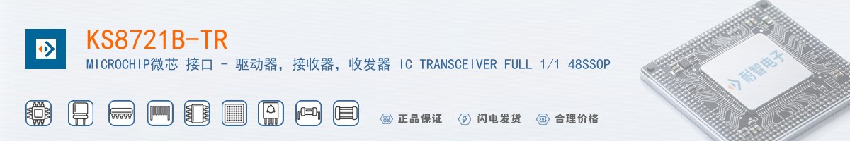 KS8721B-TR������