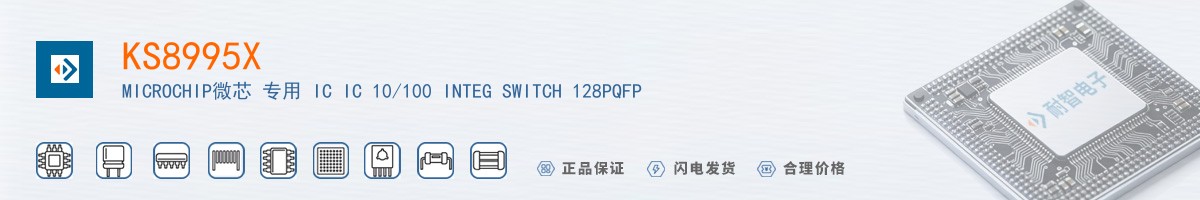 KS8995X������