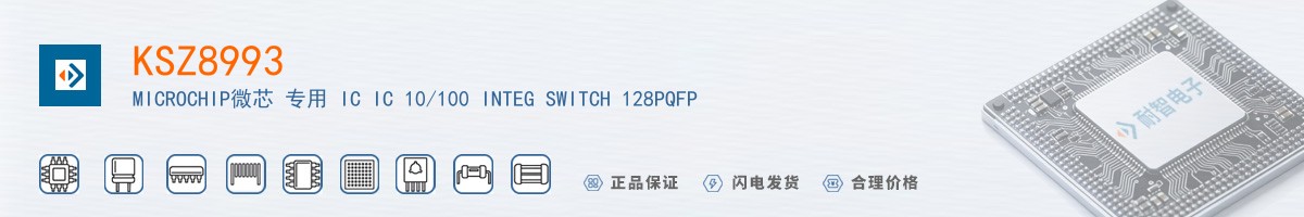 KSZ8993������