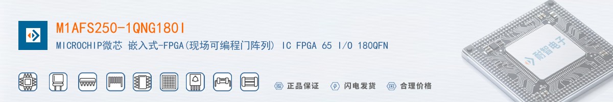 M1AFS250-1QNG180I������