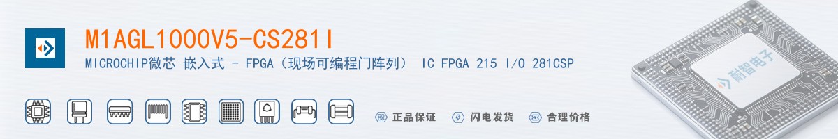 M1AGL1000V5-CS281I������