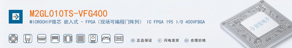 M2GL010TS-VFG400������