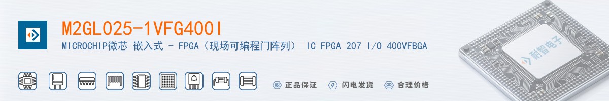 M2GL025-1VFG400I������